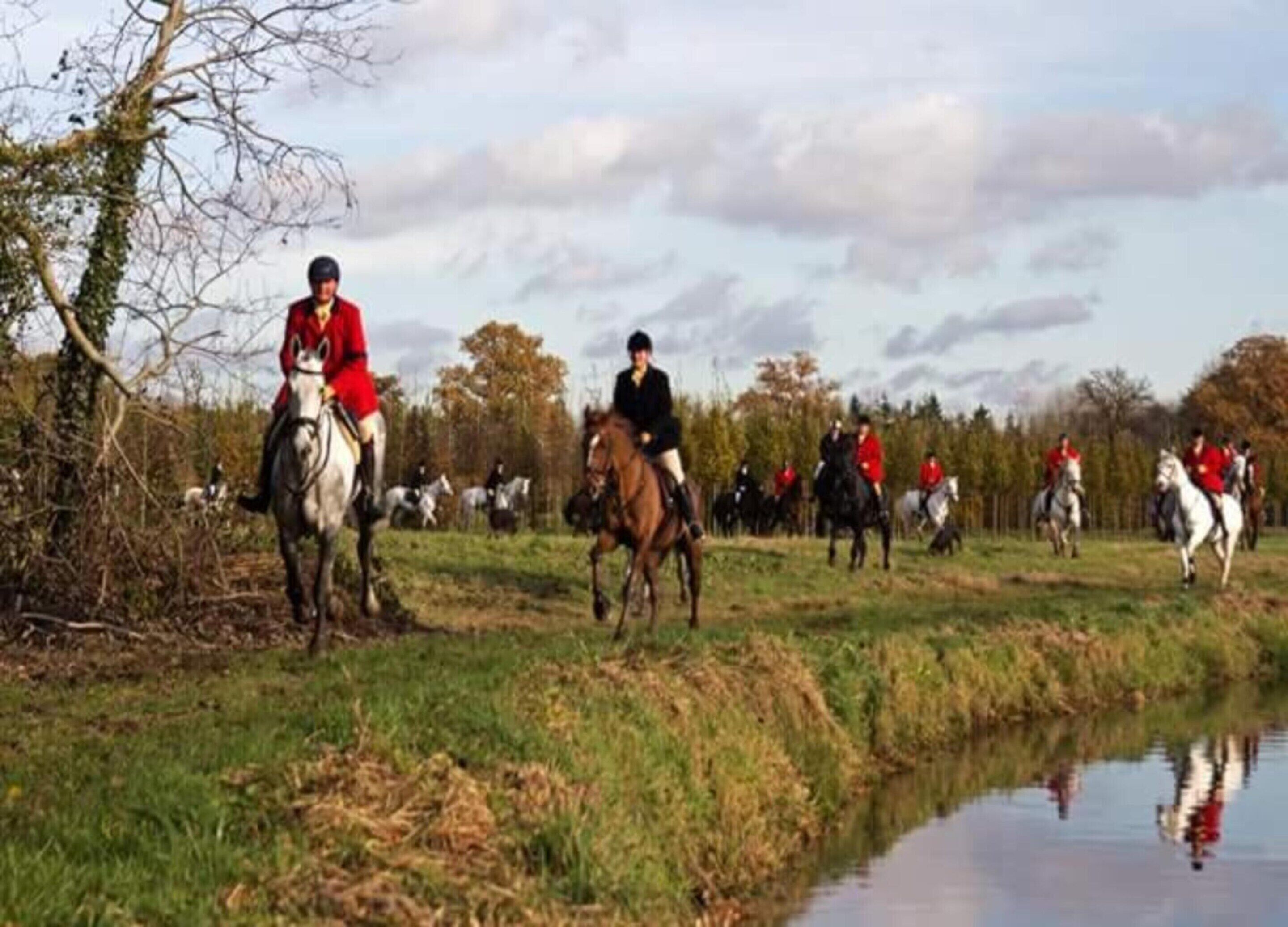 A group of people riding horses along a path beside a body of water.
