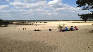 A sandy beach with people and a dog, trees, and a partly cloudy sky. - Apartment in Utrecht Near Historic Windmill (Udenhout)