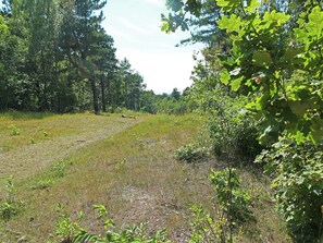 View from property - Cozy Apartment near Sea in Bergen aan Zee (Bergen aan Zee)
