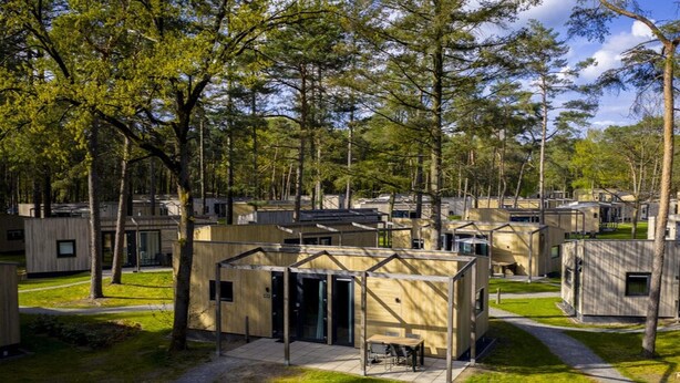 Ein Campingplatz mit mehreren Holzhütten, jede mit Tür und Fenstern, umgeben von Bäumen.