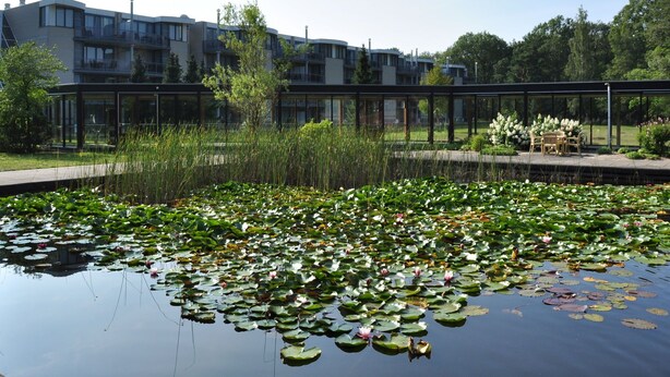 Property grounds - Comfortable Apartment With Adishwasher, in Twente (Enschede)