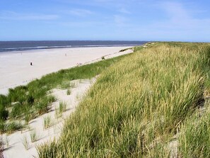 House | View from property - Holiday Home With Private Garden by the sea (Ballum)