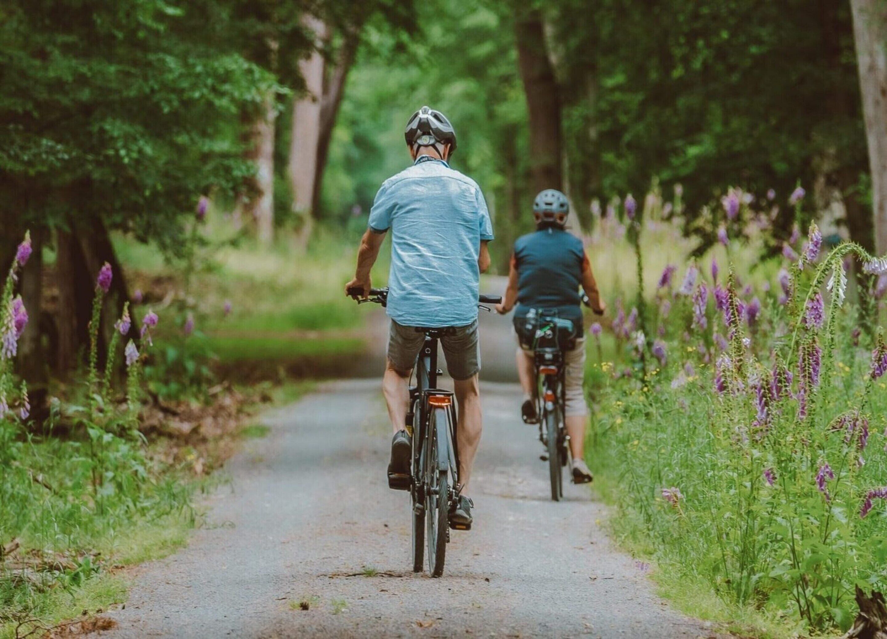 Deux cyclistes sur un sentier étroit, bordé d’une végétation luxuriante et de fleurs violettes.