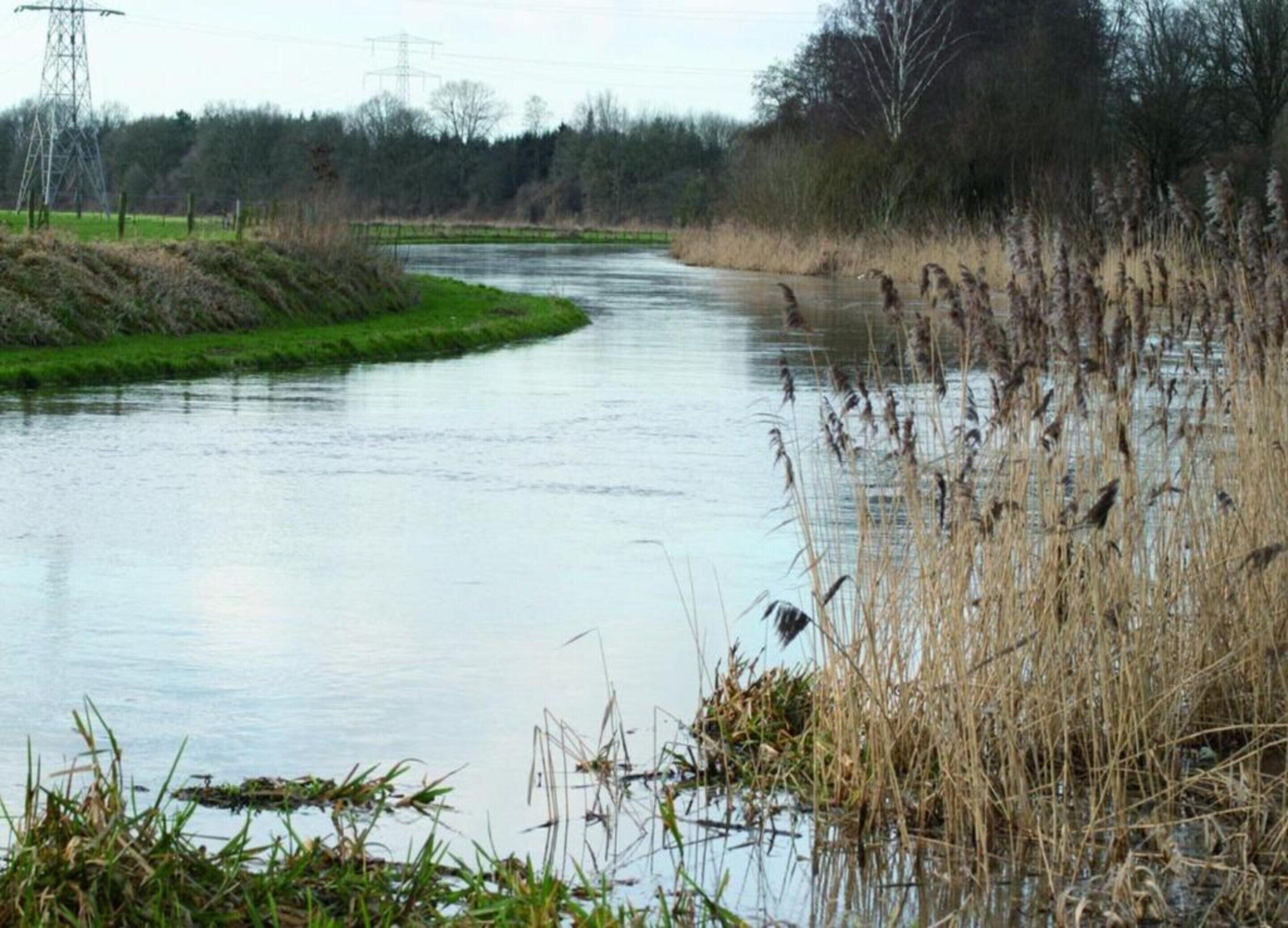Une rivière bordée de roseaux, avec une tour de ligne à haute tension en arrière-plan.