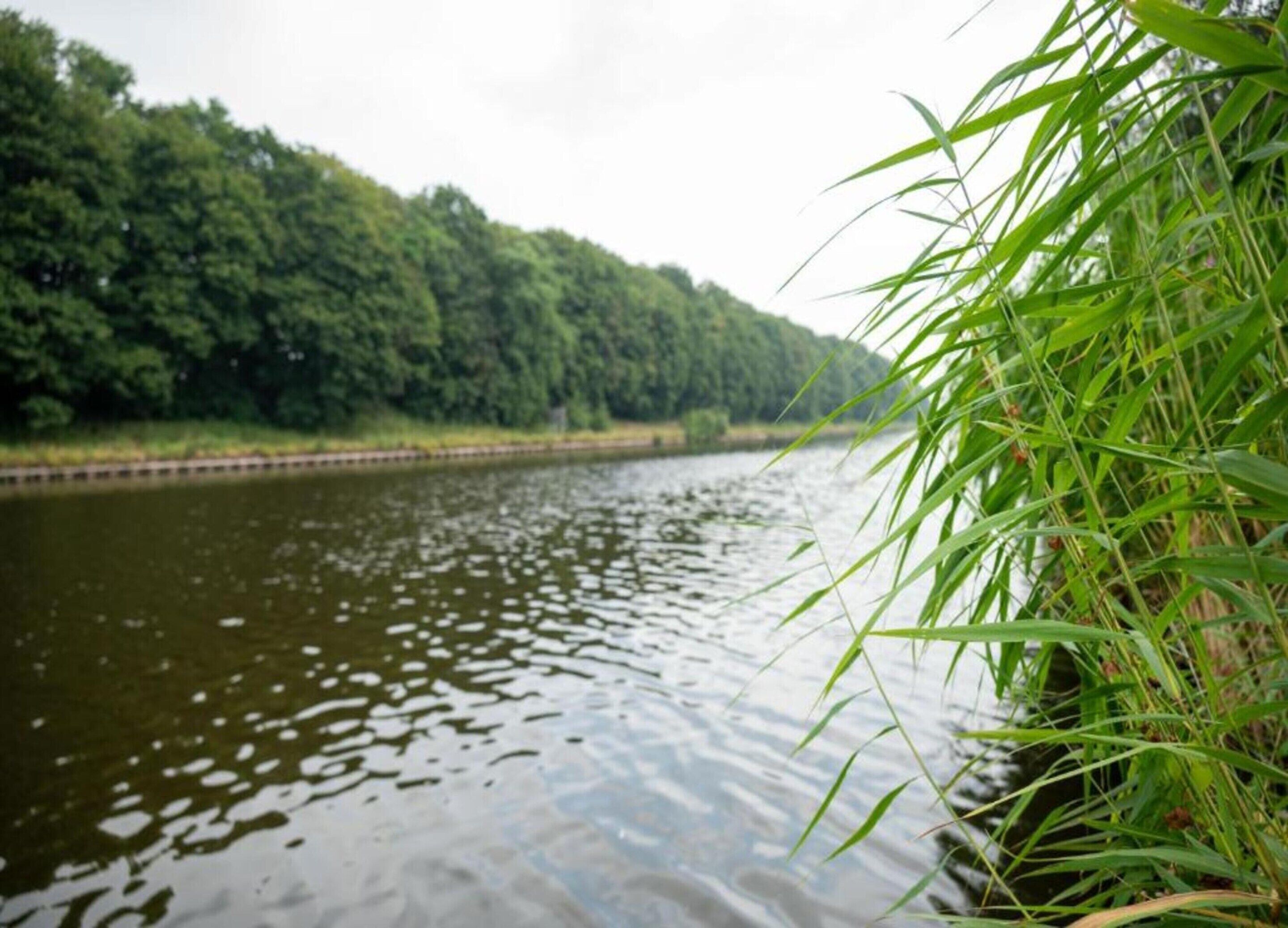 A calm river with dense greenery on the banks.