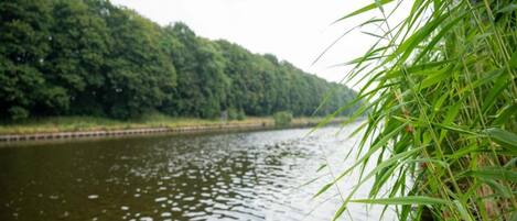 A calm river with dense greenery on the banks.