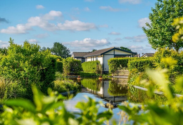 Chalet | Property grounds - Comfortable Chalet sea at 3.5 km, in Egmond (Egmond aan den Hoef)