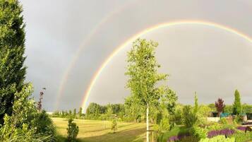 Un jardin avec un arc-en-ciel, des arbres et un champ d’herbe.
