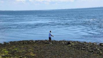 A person standing on a rocky shoreline with a view of the ocean.