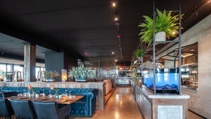 Interior de restaurante moderno, com balcão extenso, assentos estofados em azul e plantas em vasos.