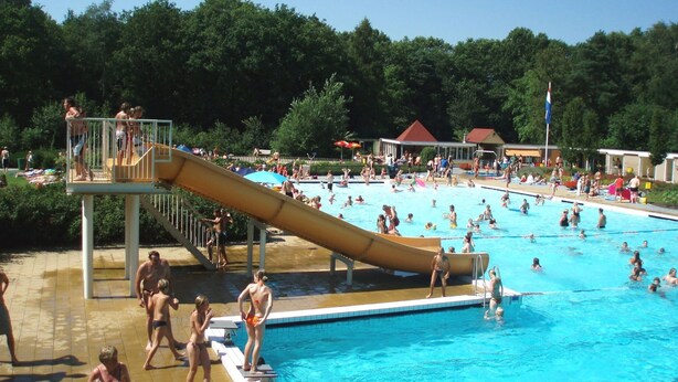 Une piscine avec un toboggan, entourée d’arbres et agrémentée d’un pavillon.