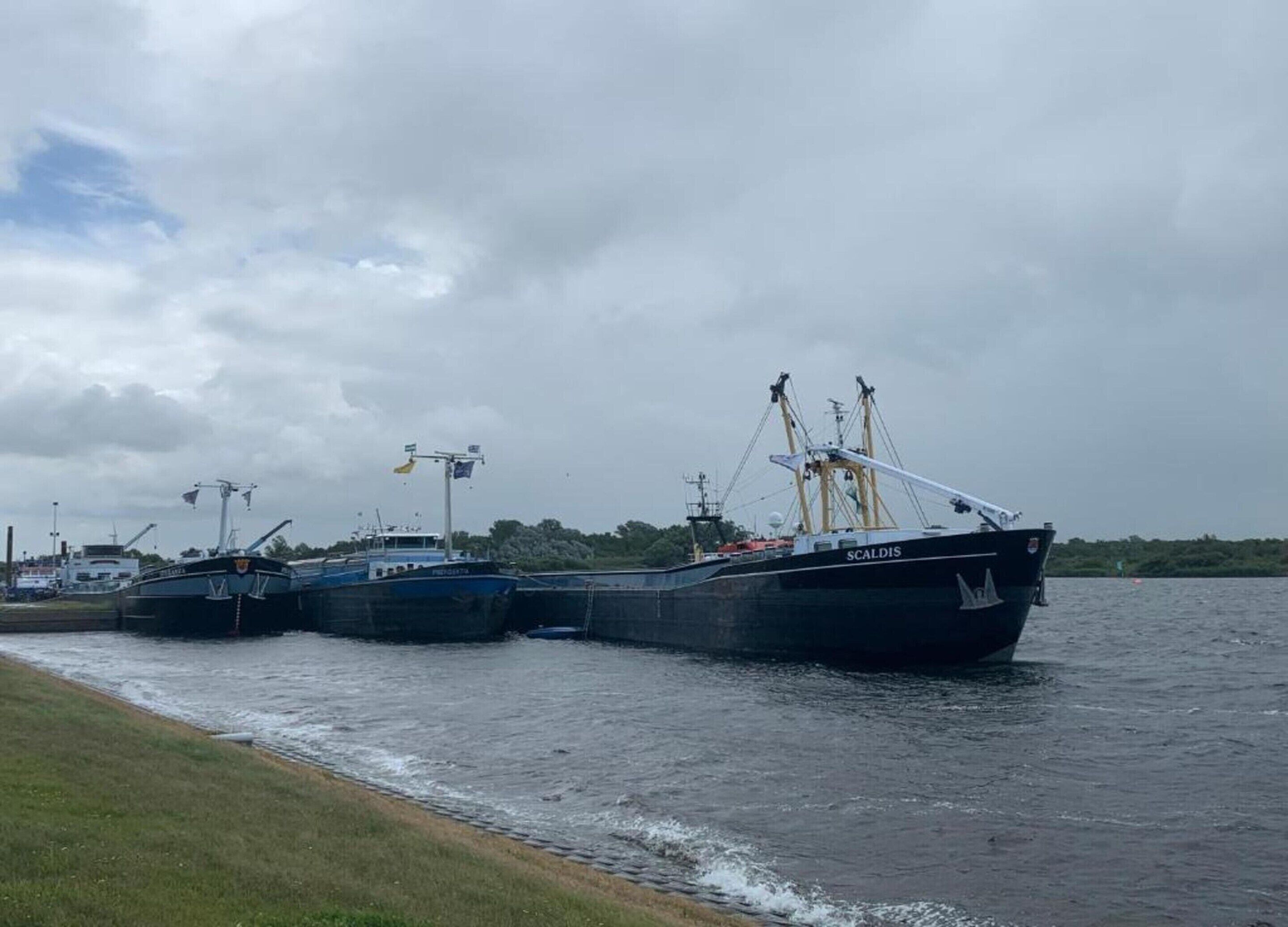 Drei große Frachtschiffe liegen in einem Hafen vor Anker, im Hintergrund eine Uferböschung mit Gras.