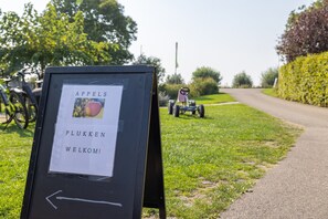 Maison | Vue depuis l’hébergement