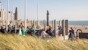 Un restaurant situé en bord de mer, avec une terrasse offrant une vue sur l’océan.