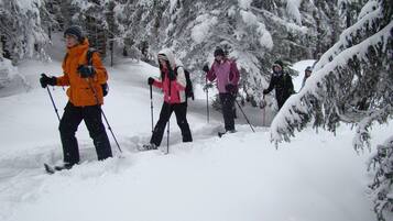 A group of people cross-country skiing in a snowy forest.
