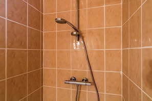 House | Bathroom - Holiday Home With Swimming Pool (Salignac-Eyvignes)