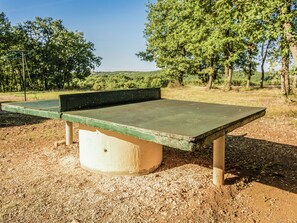 House | Room amenity - Holiday Home With Swimming Pool (Salignac-Eyvignes)