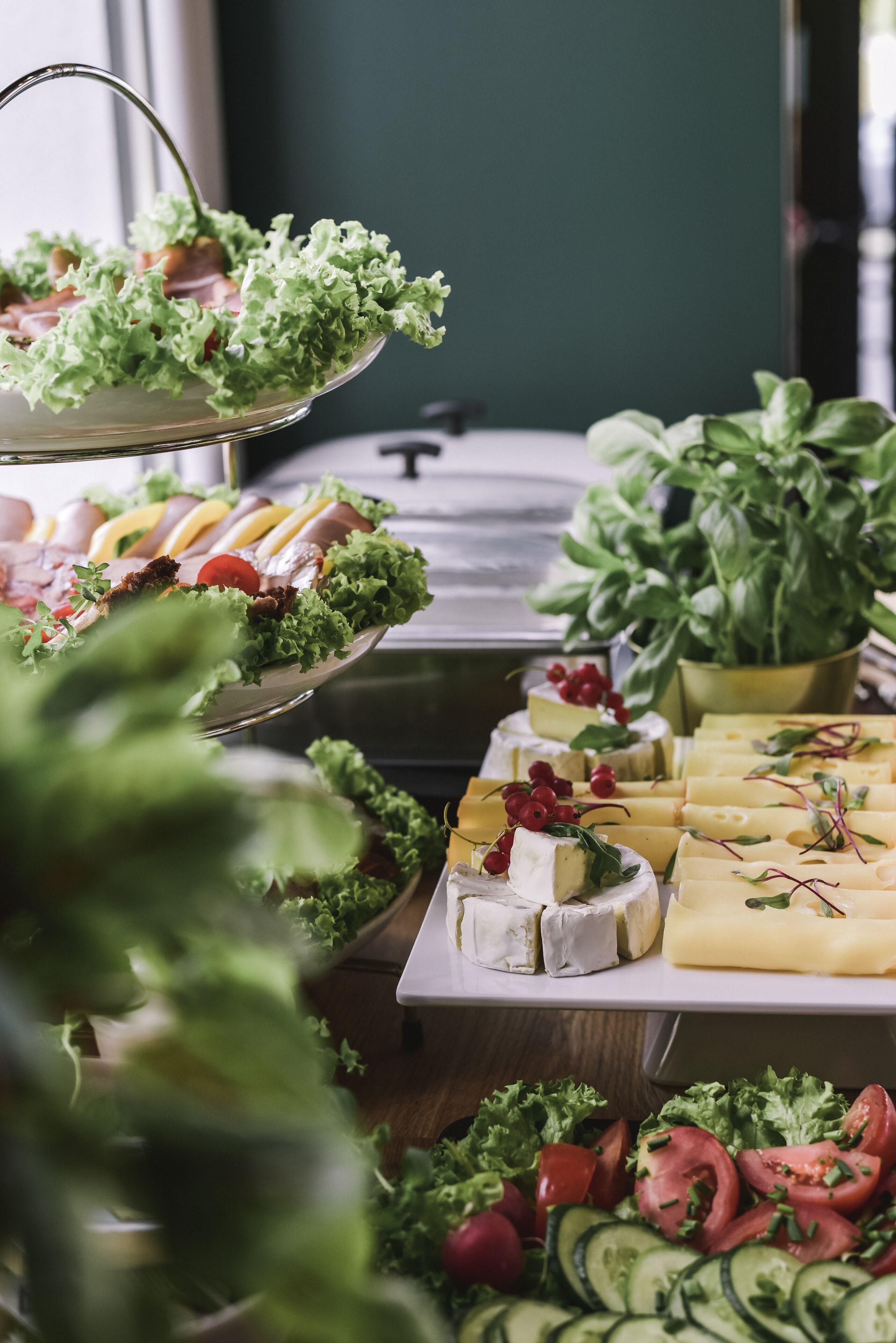 Ein reichhaltiges Buffet mit verschiedenen Käsesorten, Früchten und Blattsalaten.