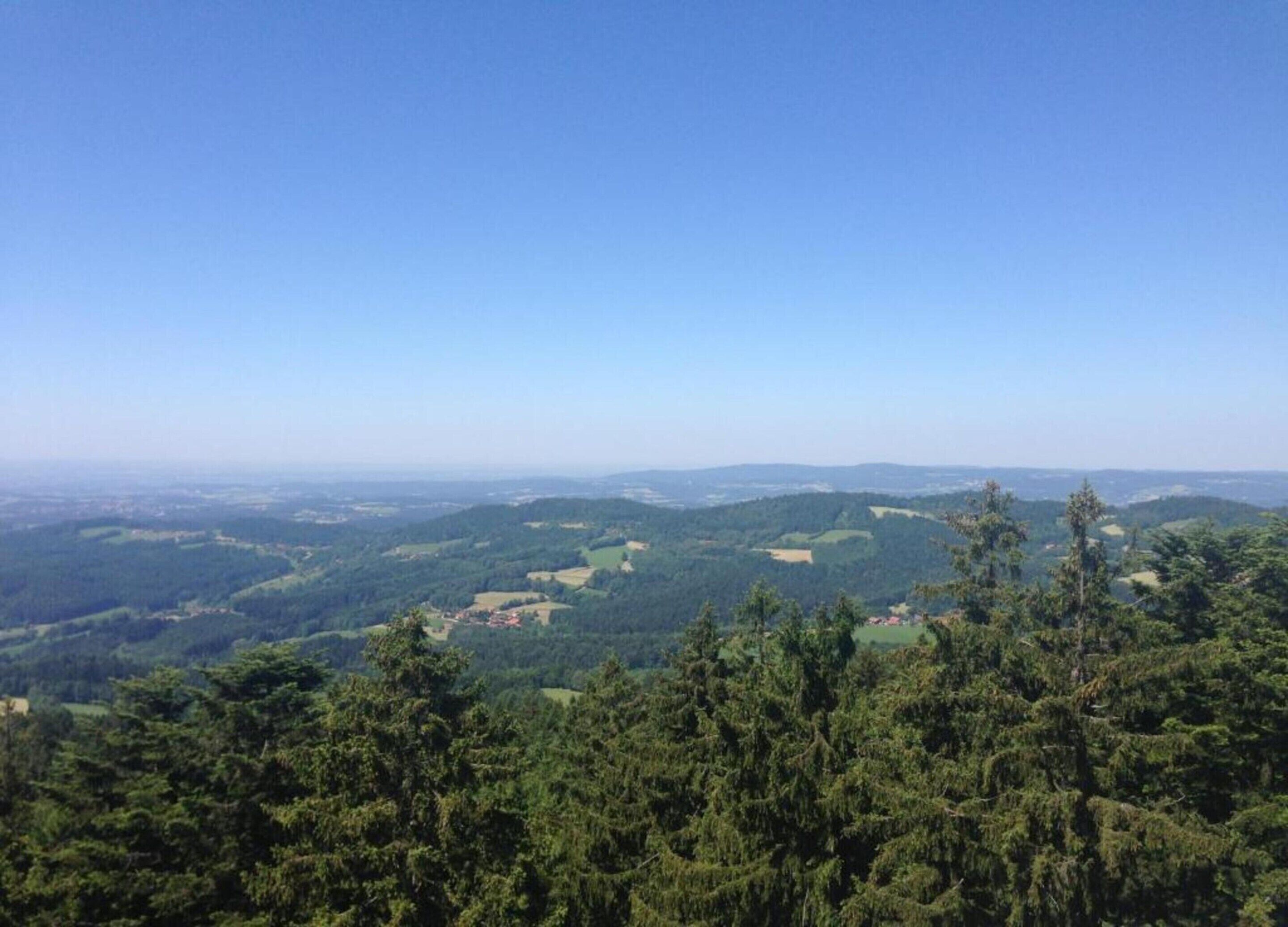 A panoramic view of a mountainous landscape with dense forests and scattered buildings.