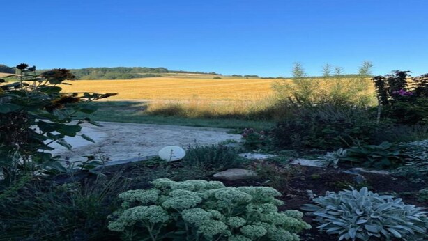 A garden with a variety of plants and a field in the background. - Bungalow im Feriendorf Uslar mit Gartenterrasse (Uslar)