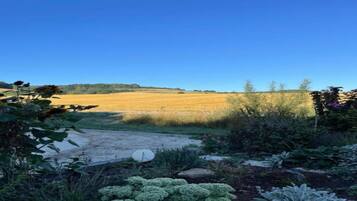 House | View from property