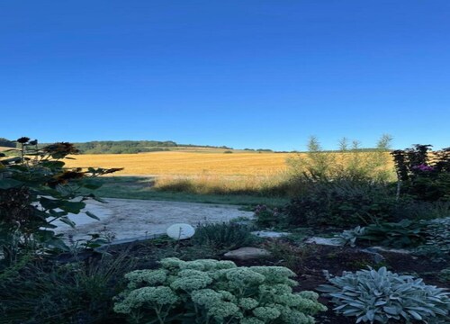 Bungalow im Feriendorf Uslar mit Gartenterrasse