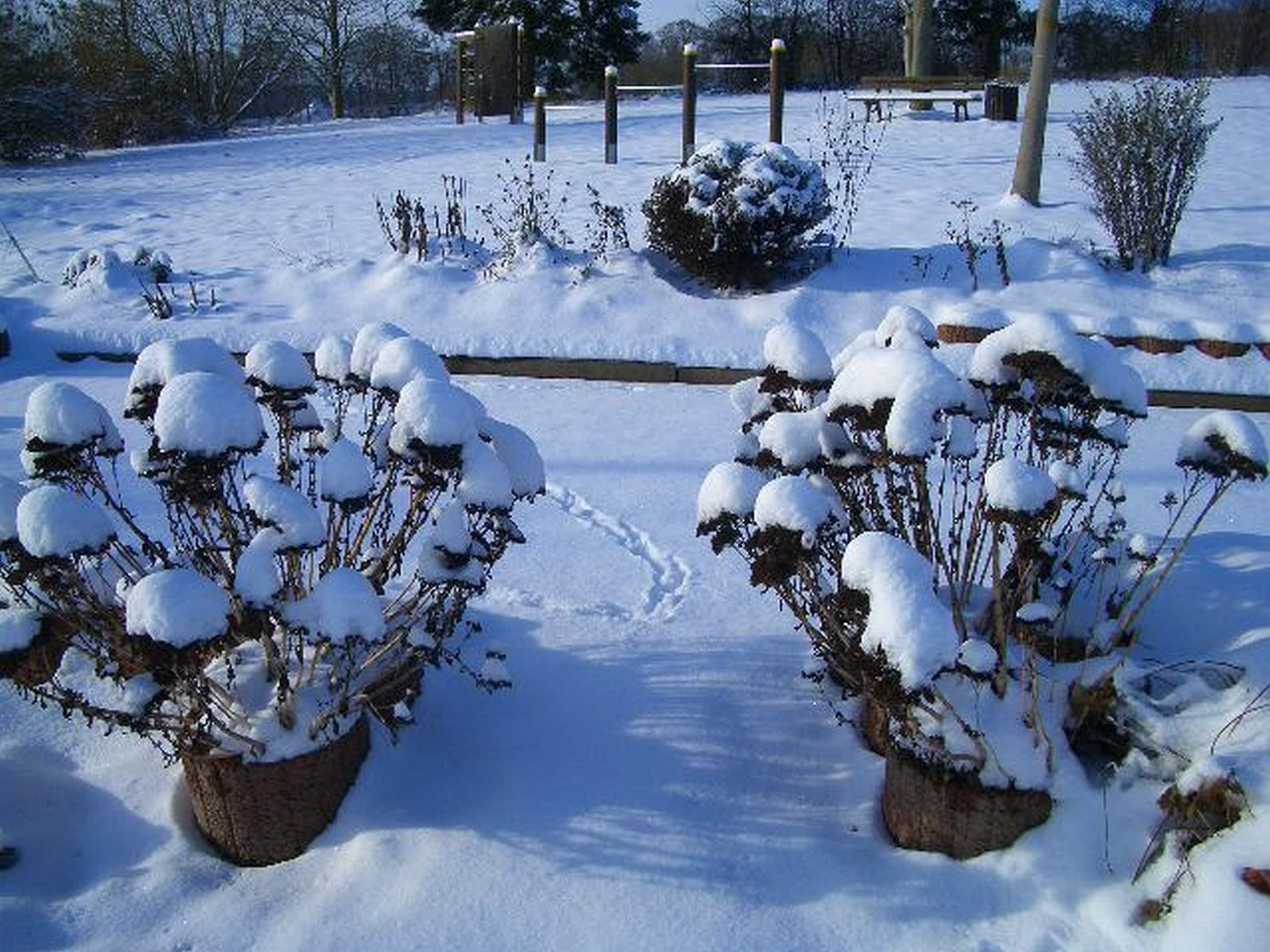 하우스 | 숙박 시설의 전망
