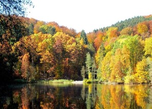 House | View from property