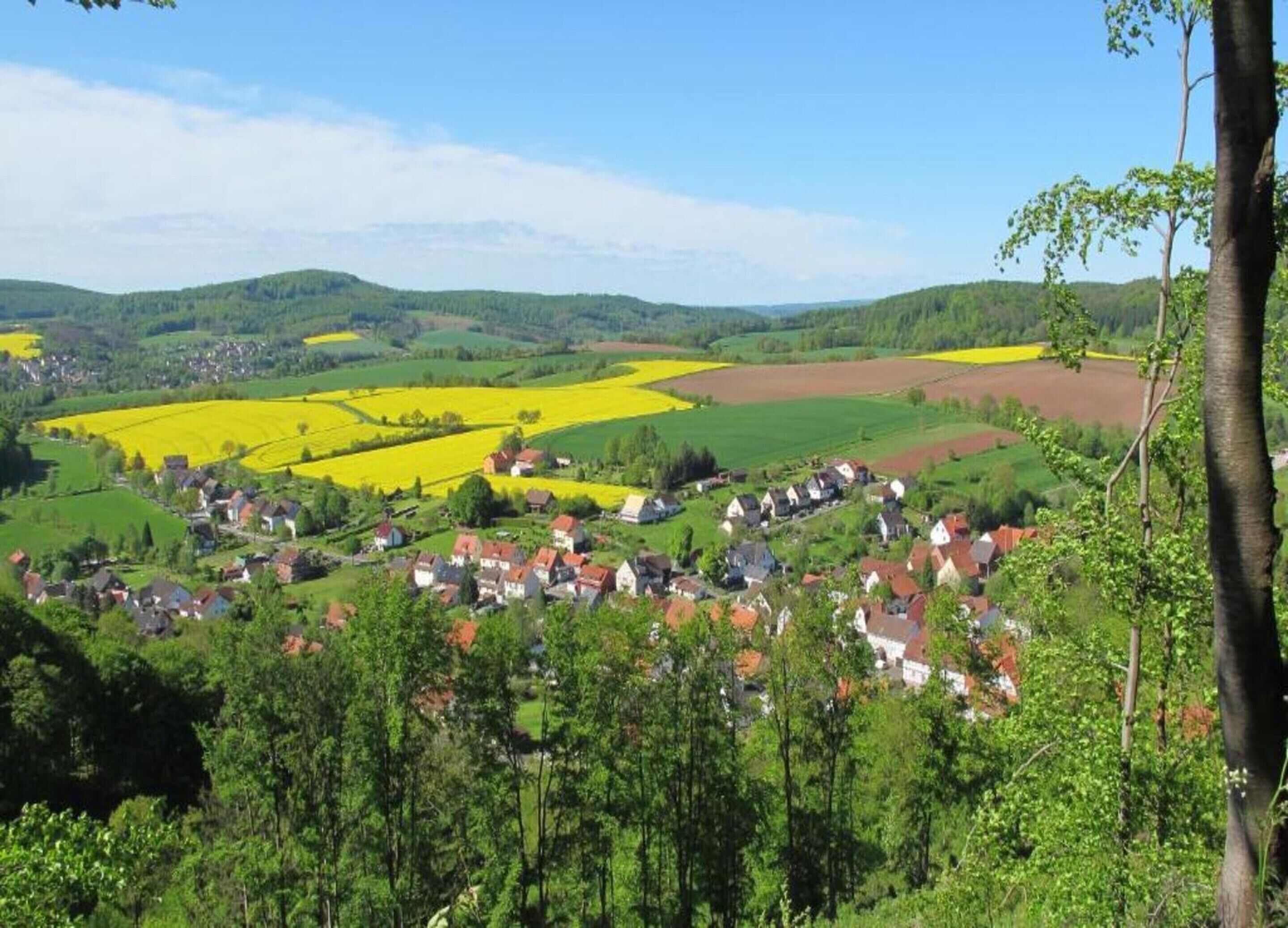 Un paisaje rural con un pueblo, campos de flores amarillas y colinas verdes.