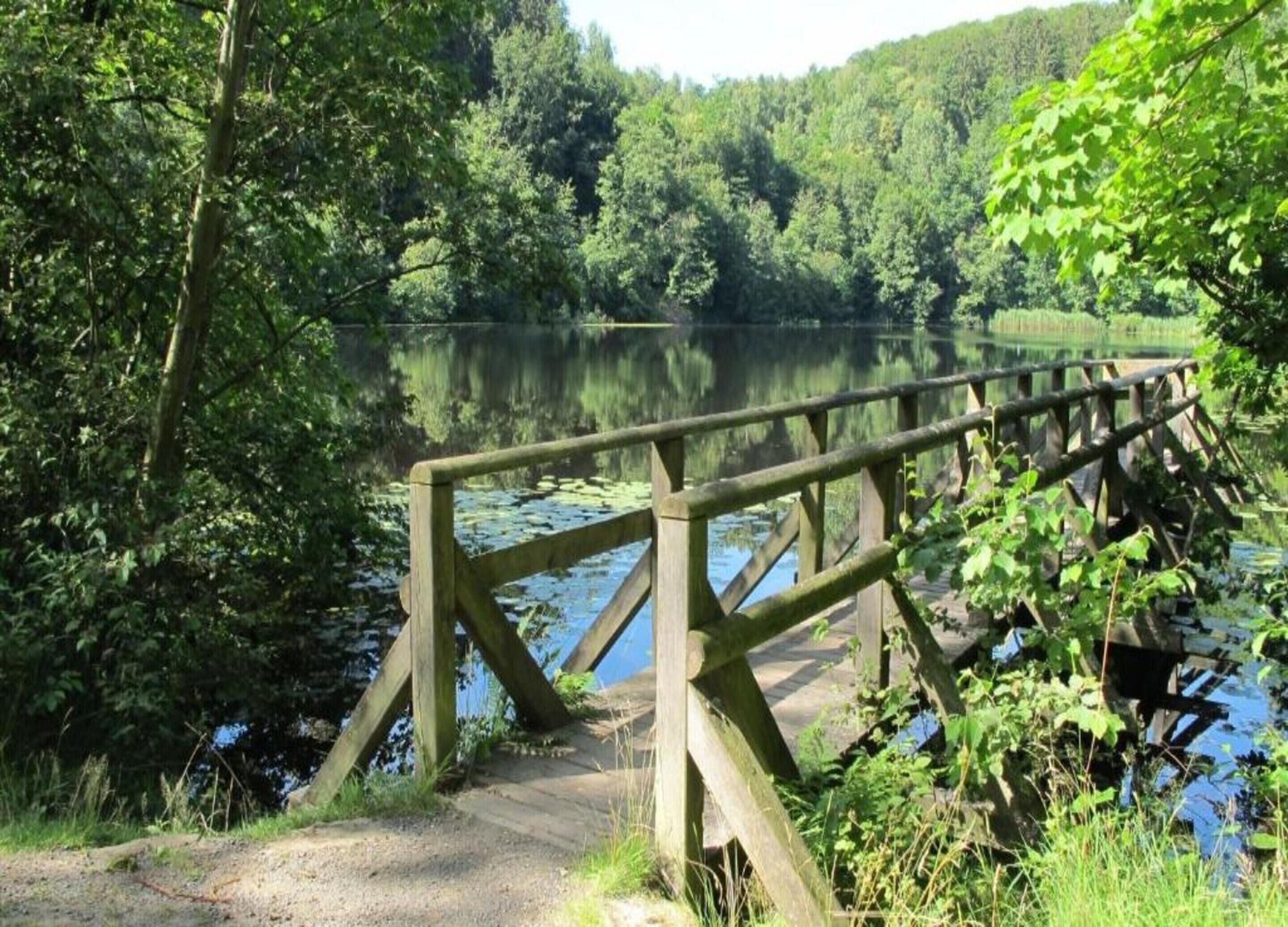 A wooden bridge over a calm lake surrounded by dense forest.