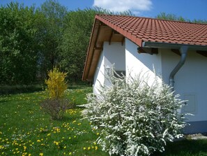 House | Exterior - Bungalow im Feriendorf Uslar mit Gartenterrasse (Uslar)
