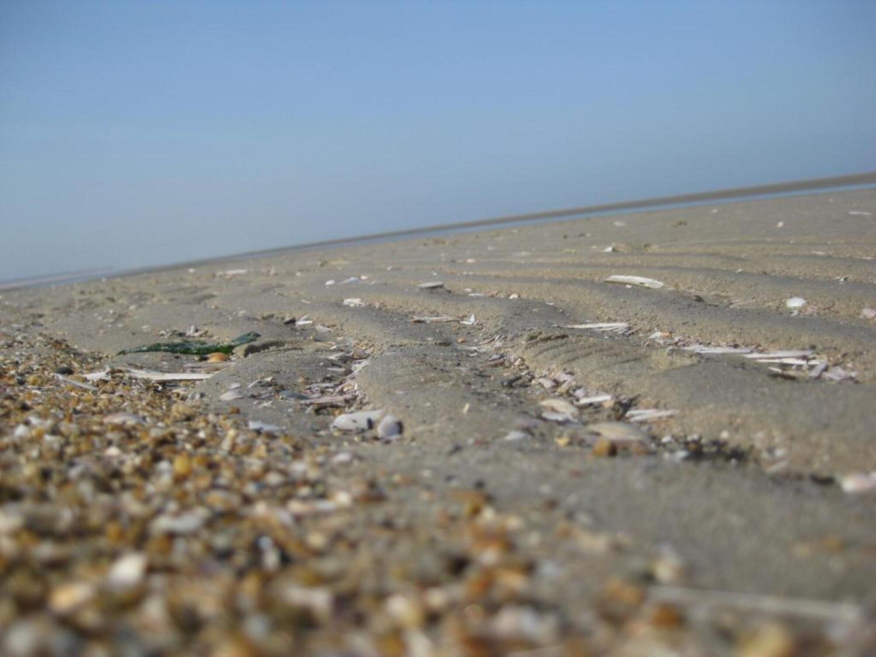 Une plage de galets et de débris.