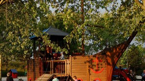A wooden play structure with a slide and climbing elements, surrounded by trees. - Restyled Thatched Villa Near the Sea in Cosy Domburg (Domburg)