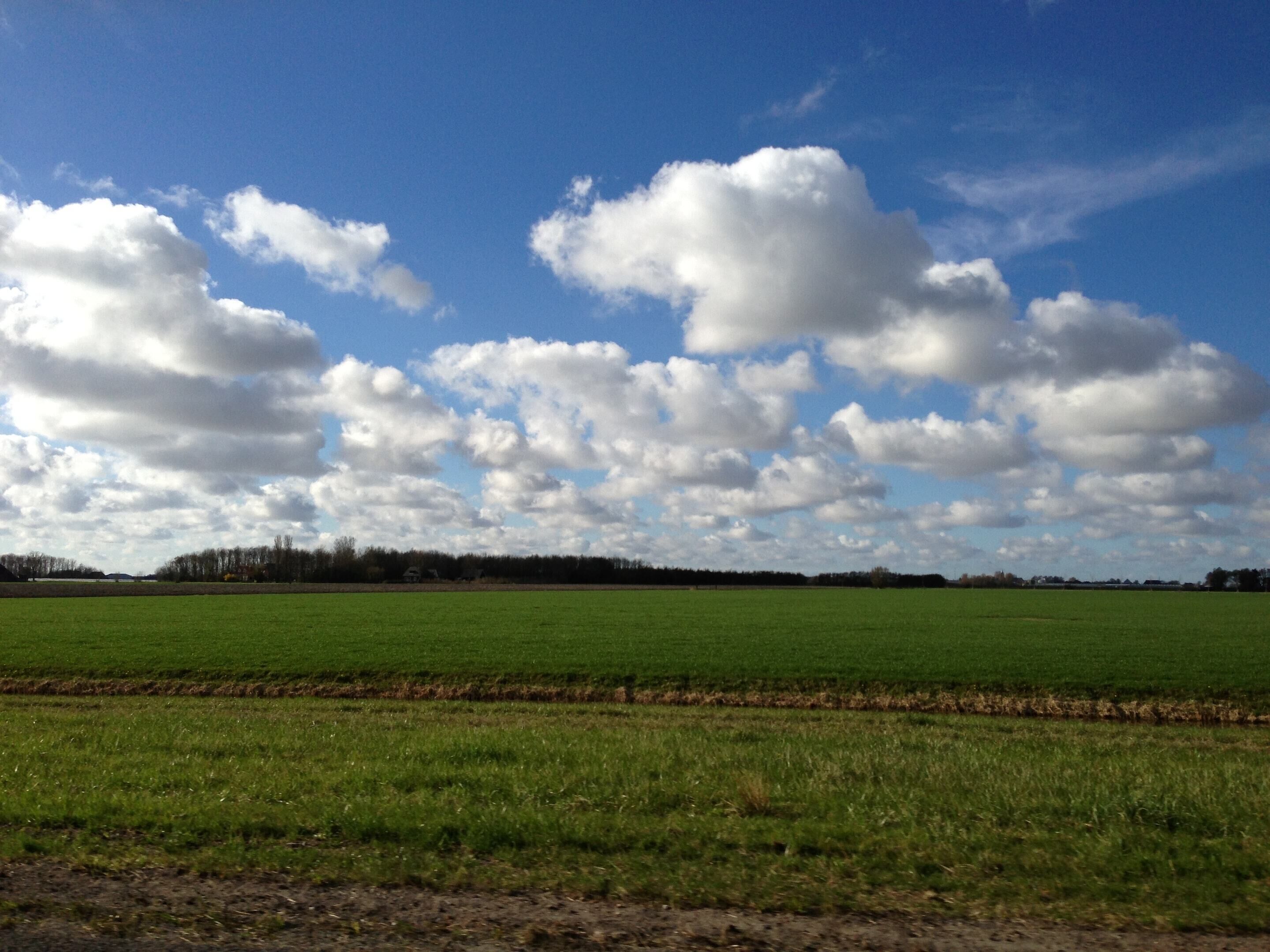 Eine weite, offene Landschaft mit blauem Himmel und vereinzelten Wolken.