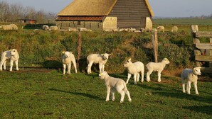 Una granja rural con un granero de techo de paja y un cercado con ovejas pastando.
