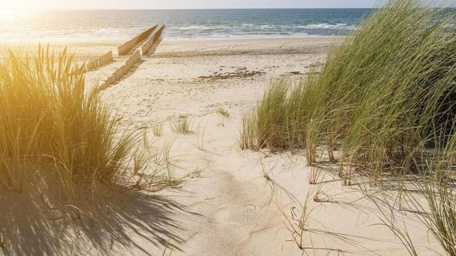 Detached Villa With Four Bathrooms Near the Sea