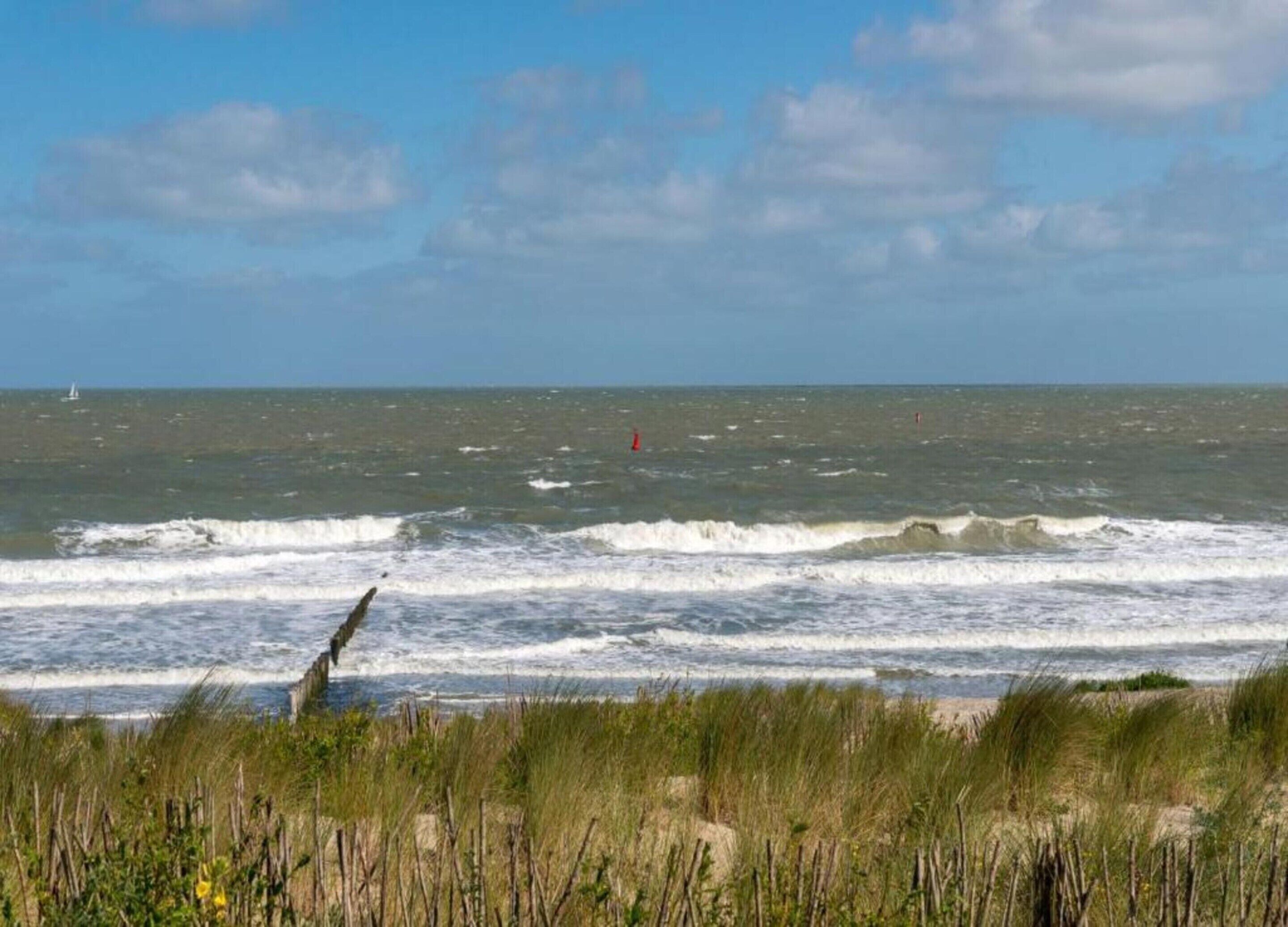 A beach with waves, a sailboat, and a red buoy in the distance.