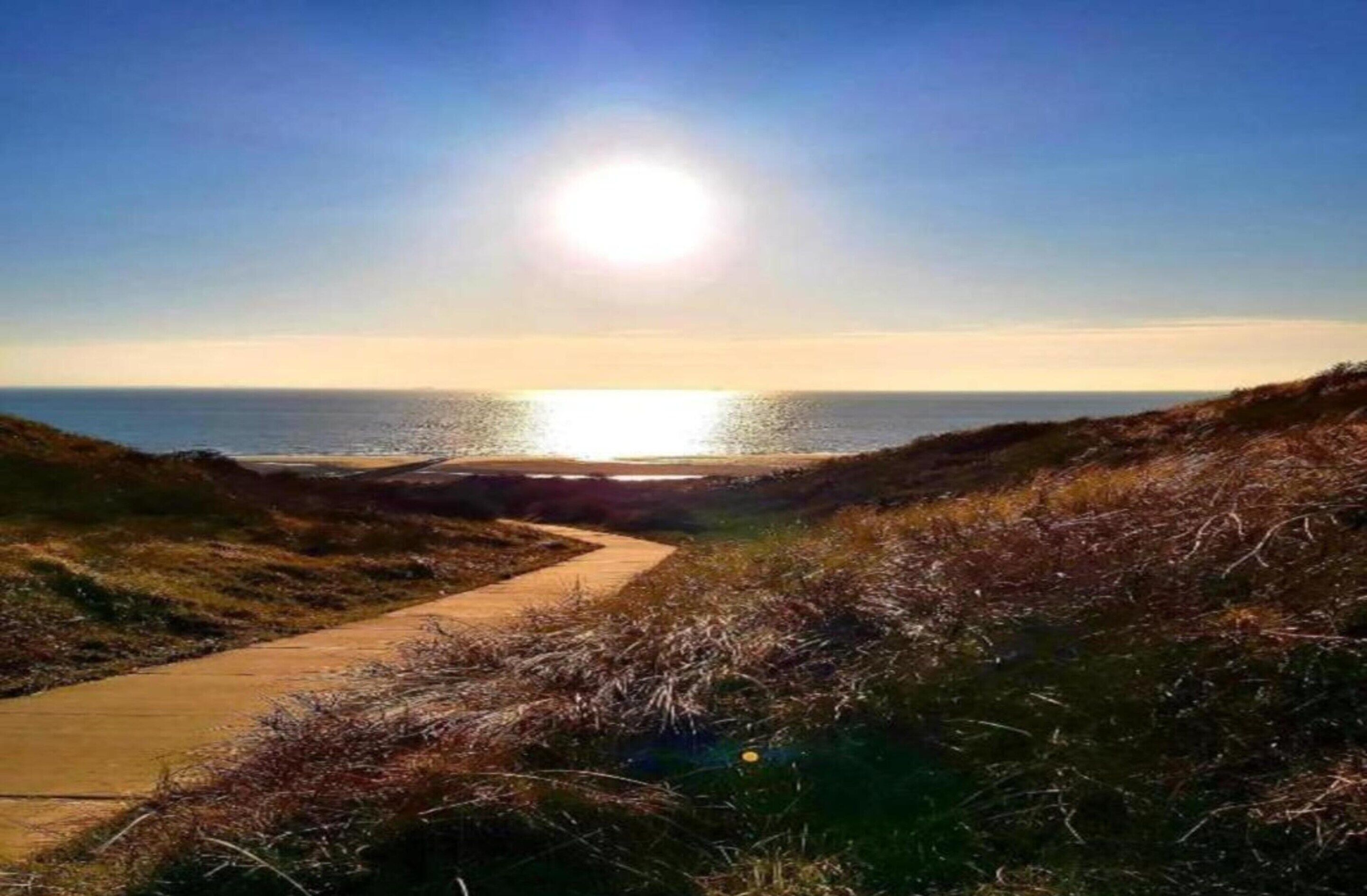 Apartment | View from property