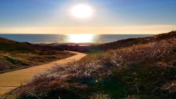 Camino costero que lleva al mar bajo un cielo despejado y con sol.