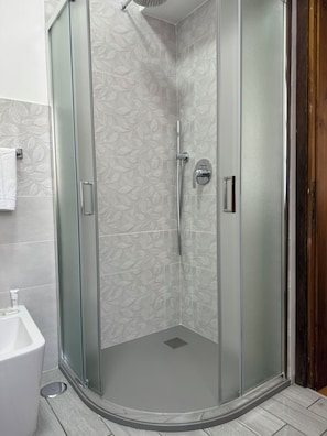 Shower, hair dryer, bidet, towels