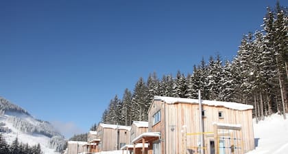 Wood Chalet in Styria With Terrace