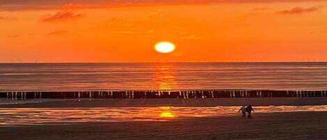 Appartement | Vue depuis l’hébergement