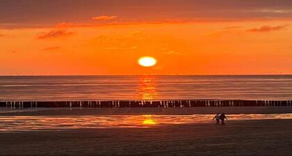 Luxurious Apartment With Dishwasher, 1 km. From the Beach
