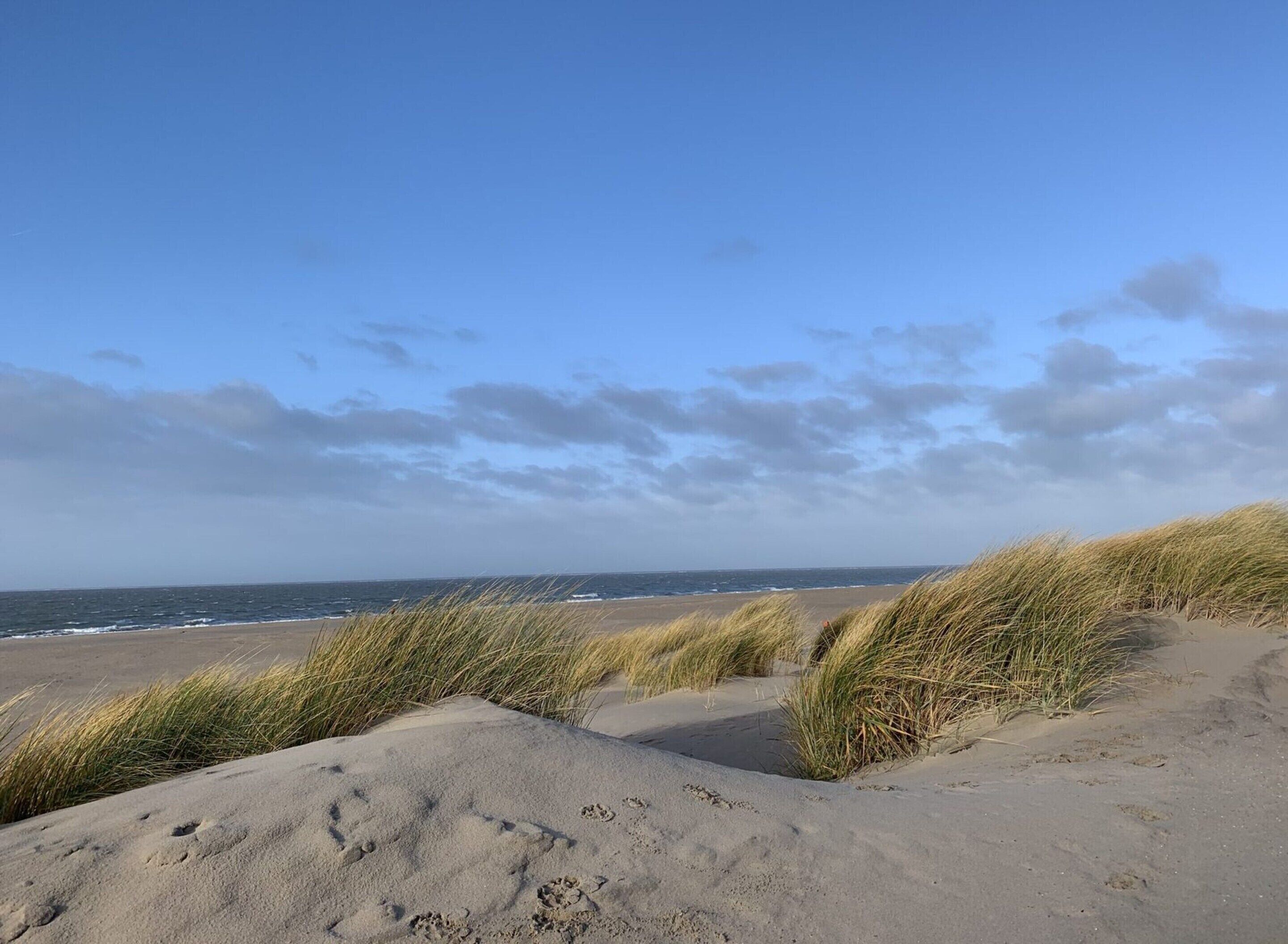 Ein sandiger Strand mit Dünen und Fußspuren.