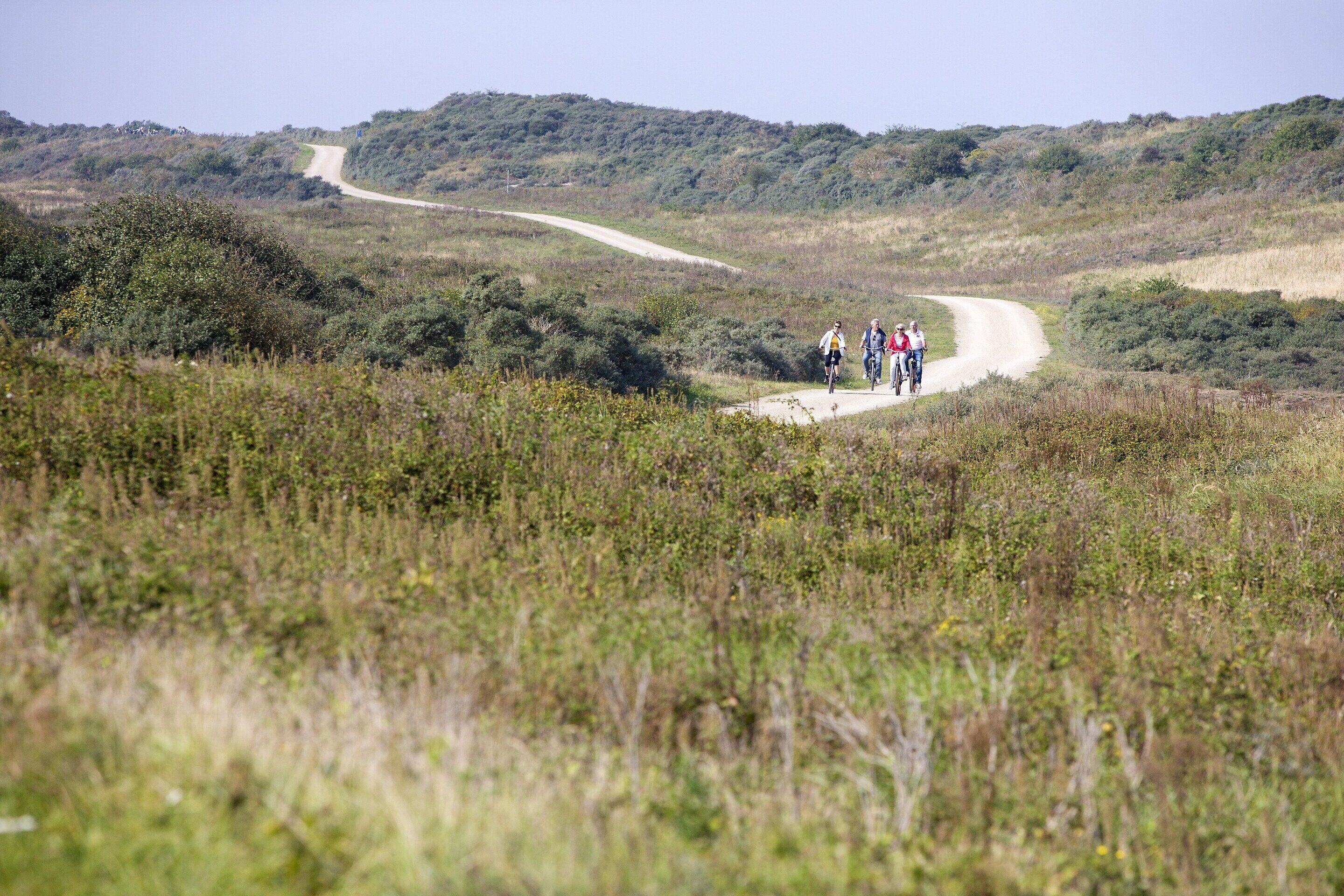 A dirt road winding through a hilly, grassy landscape with sparse vegetation.