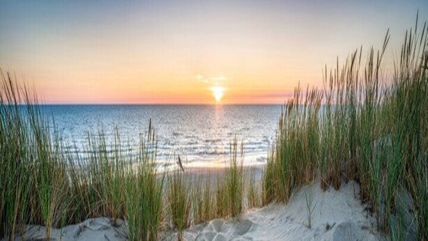 Une plage de sable avec quelques touffes d’herbe, qui s’étend jusqu’à l’océan au coucher du soleil.