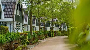 House | Property grounds