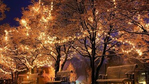A snow-covered park bench area with trees adorned with string lights. - Nice Holiday Home With Dishwasher, in Schoorl (Schoorl)