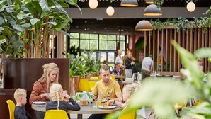 A dining area with yellow chairs, a wooden table, and hanging pendant lights. - Villa With Sauna & Bubble Bath in Limburg (Roggel)