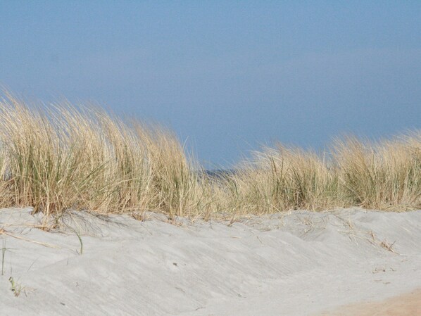 View from property - Ferienwohnung in Steffenshagen mit Garten (Steffenshagen)